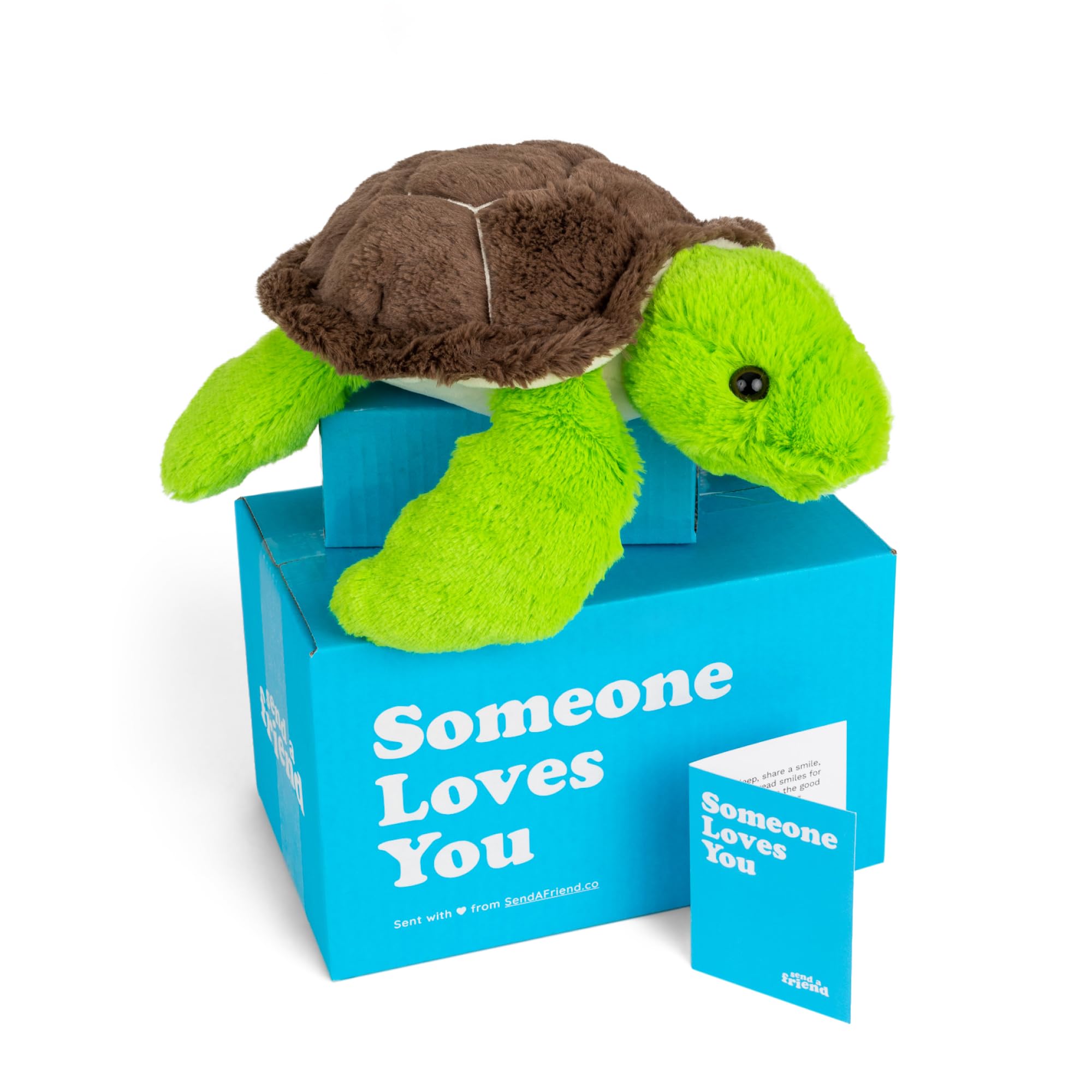 SendAFriend Tucker The Turtle Peluche Paquete de Cuidado,
