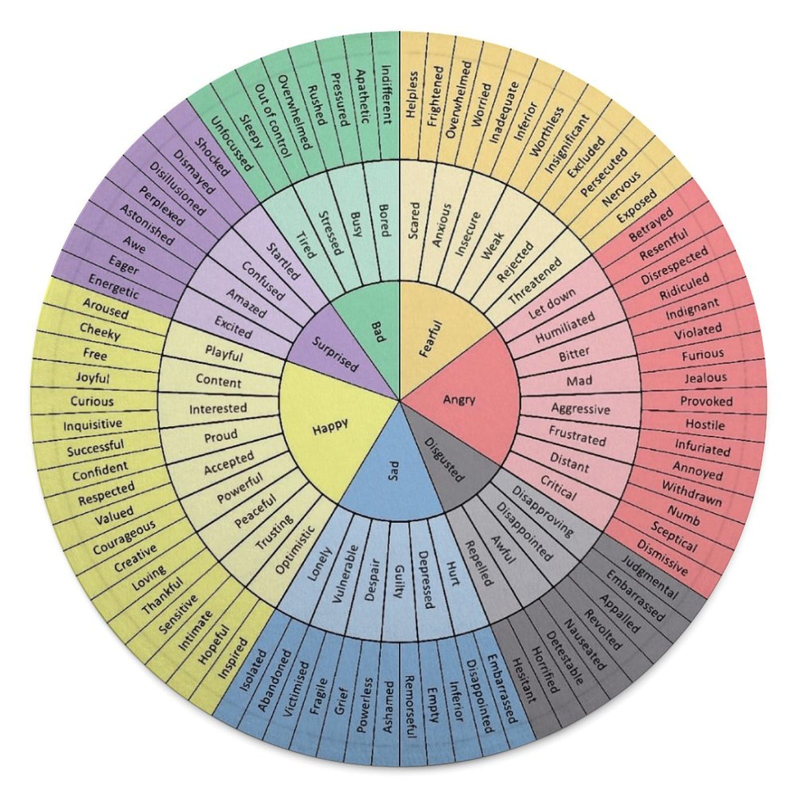 Manta Redonda Rueda de Emociones Manta Suave de Franela