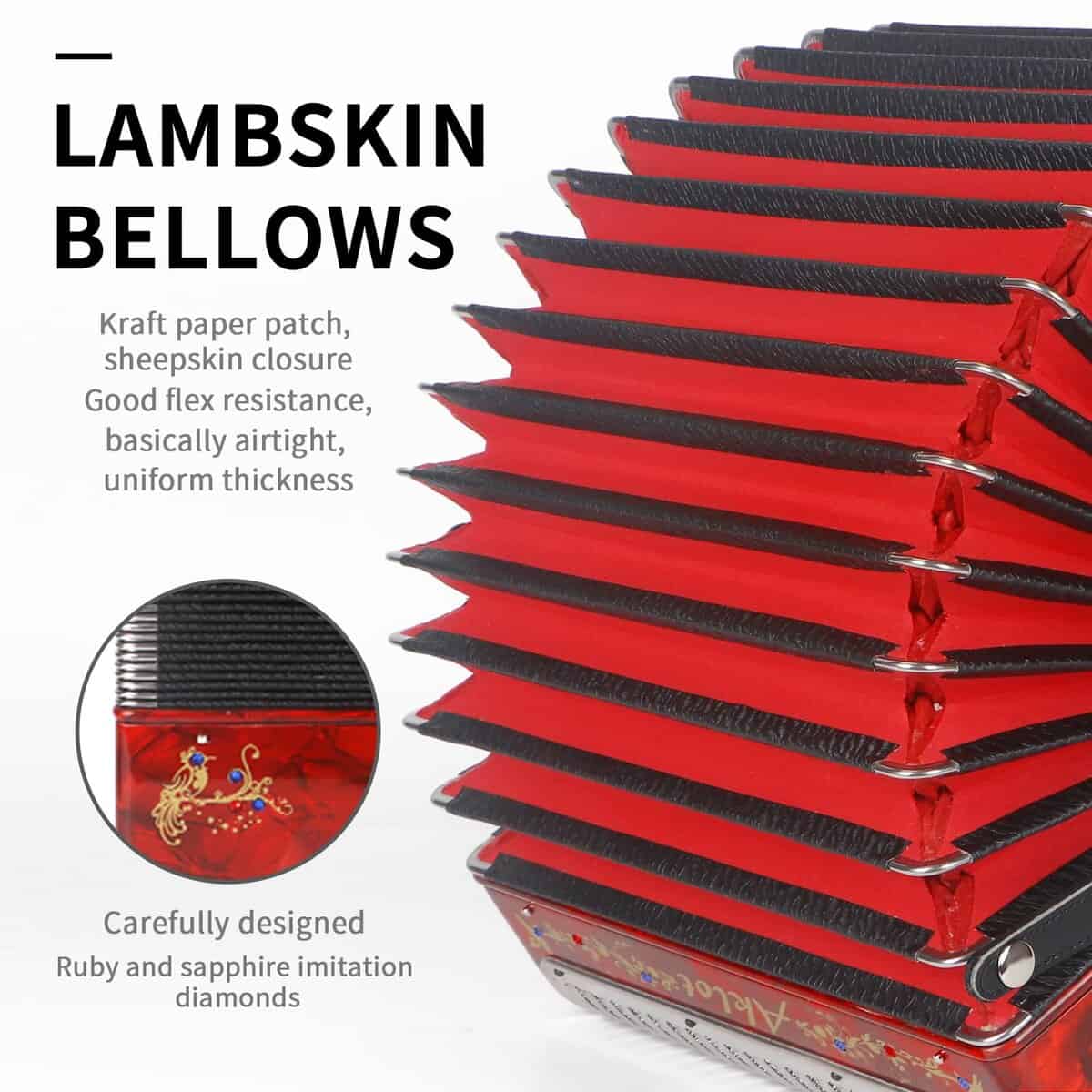 Acordeón de 31 Teclas y 12 Bajos Aklot, G/C/F, Cuerpo de - Imagen 4