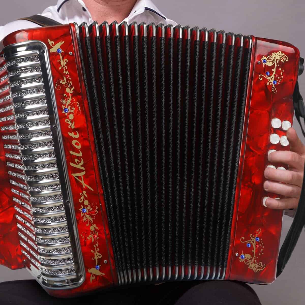 Acordeón de 31 Teclas y 12 Bajos Aklot, G/C/F, Cuerpo de - Imagen 3