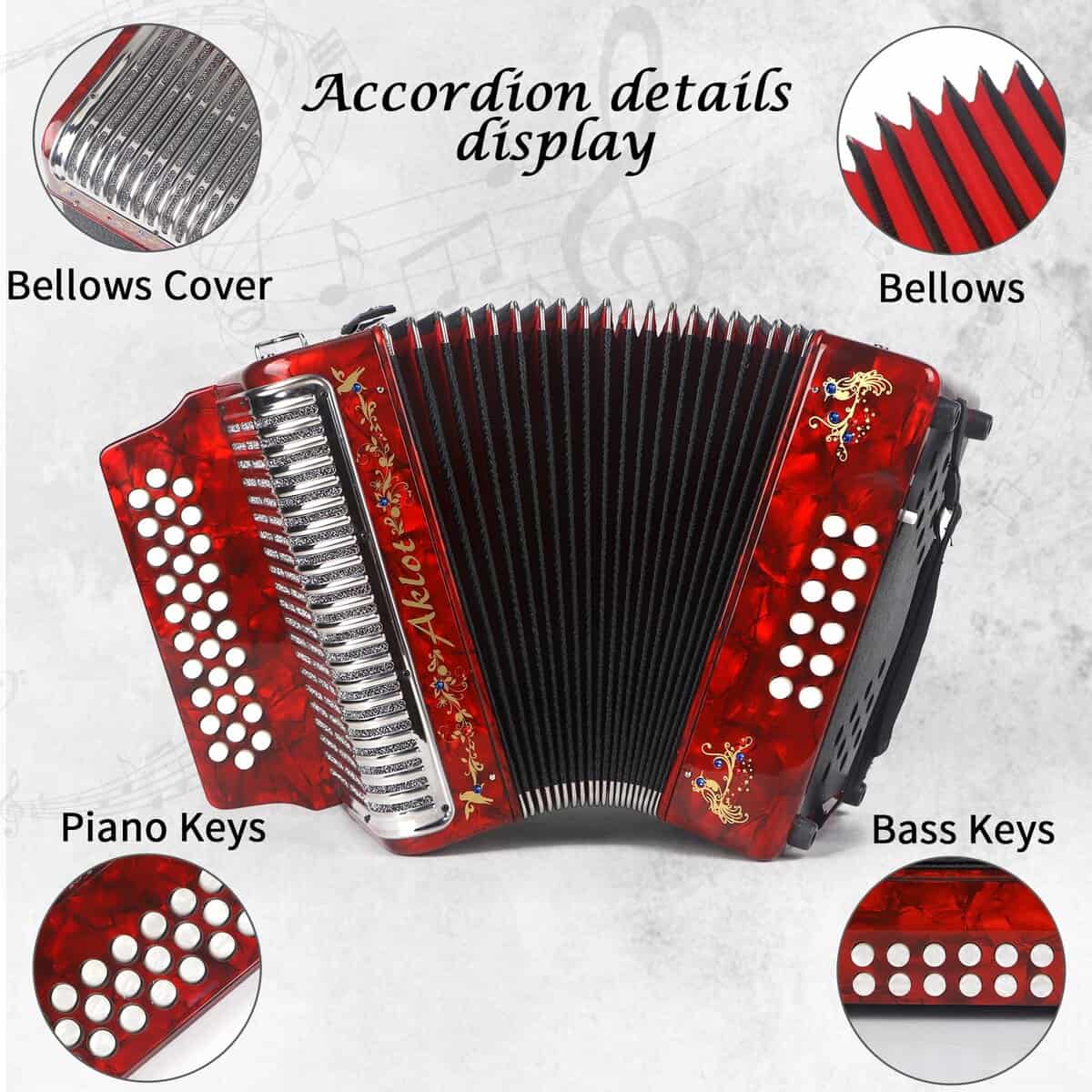 Acordeón de 31 Teclas y 12 Bajos Aklot, G/C/F, Cuerpo de - Imagen 5