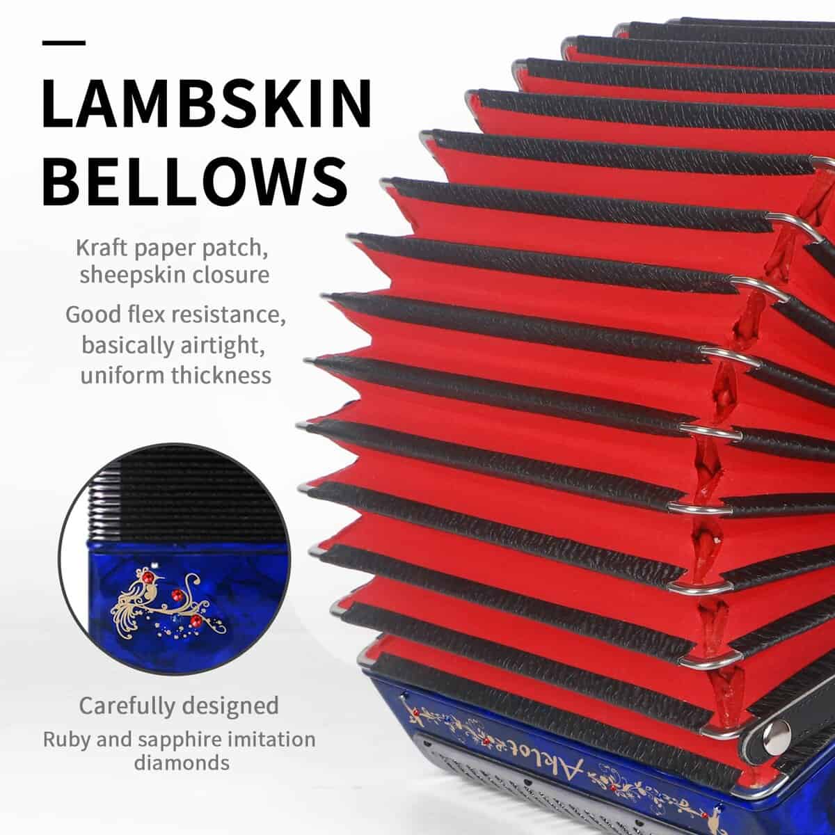 Acordeón AKLOT de 31 teclas y 12 bajos, F/B/E, Cuerpo de - Imagen 4