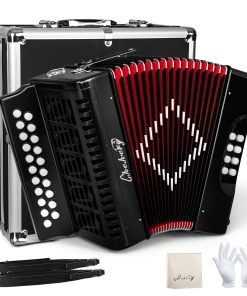 Acordeón de 21 Teclas y 8 Bajos en Si/Do, Instrumento