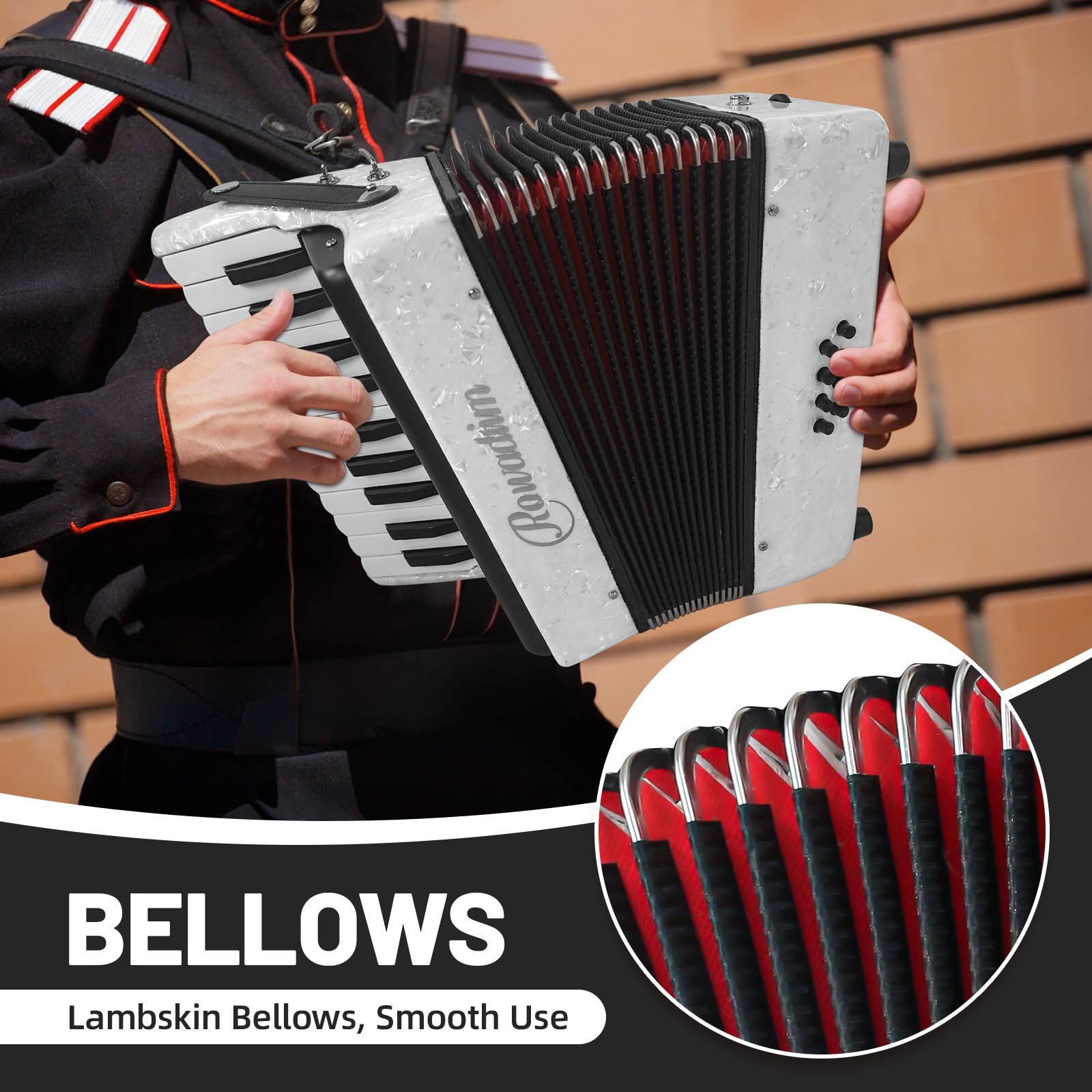 Acordeón - 22 Teclas 8 Bajos, Acordeón de Teclado - Imagen 5