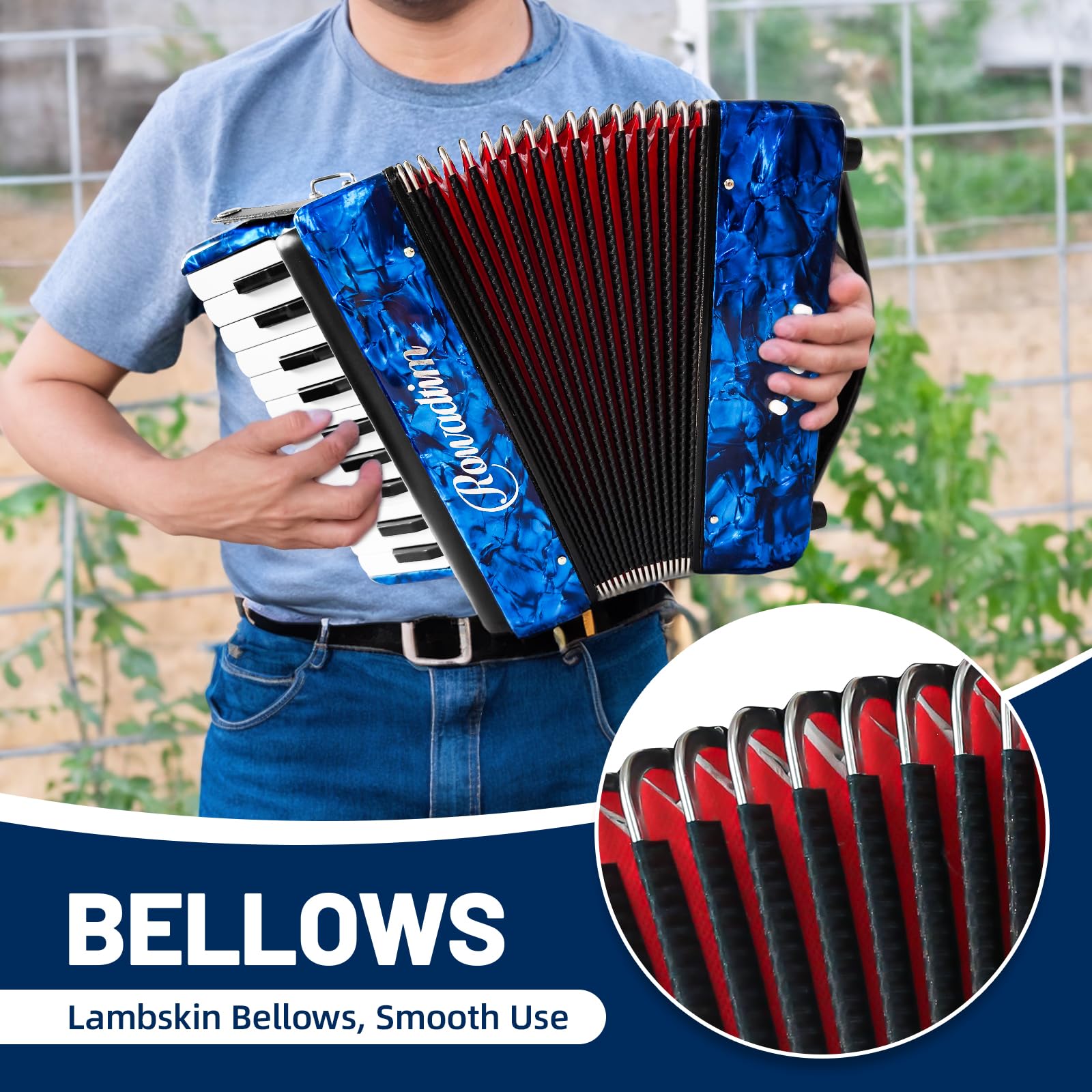 Acordeón - 22 Teclas 8 Bajos, Acordeón -Azul - Imagen 5