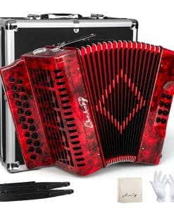 Acordeón adulto de 21 teclas y 8 bajos Chehery, acordeón