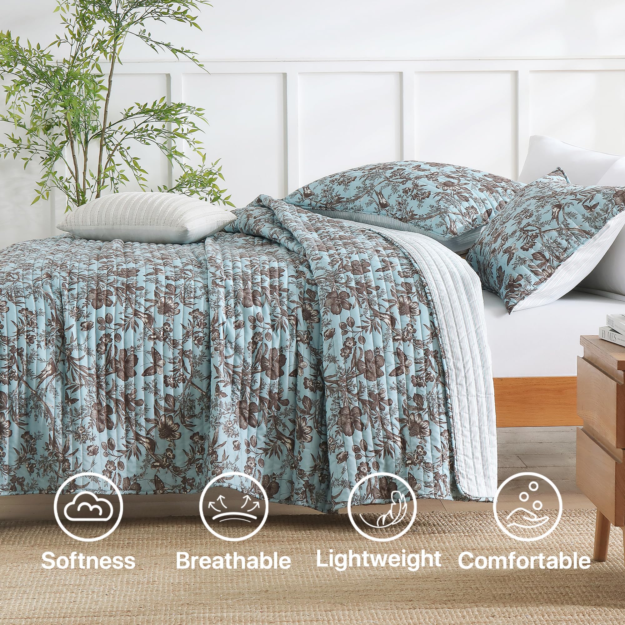 Juego de Edredón Tamaño Twin TEXSTEAD - Juego de Cama - Imagen 4