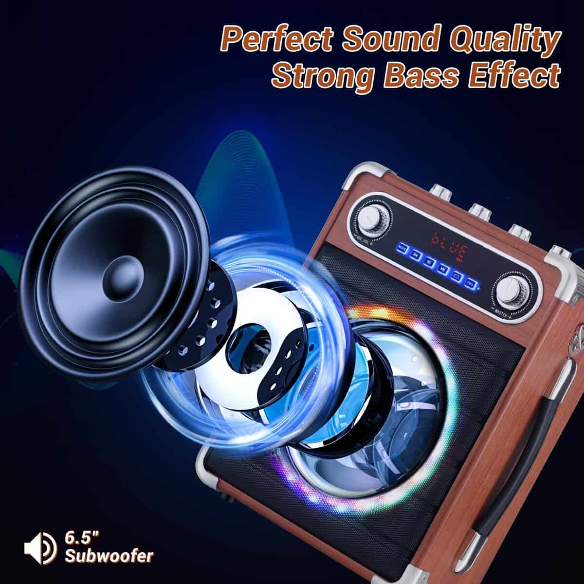 Máquina de Karaoke ROXAAN con Dos Micrófonos Inalámbricos, - Imagen 3