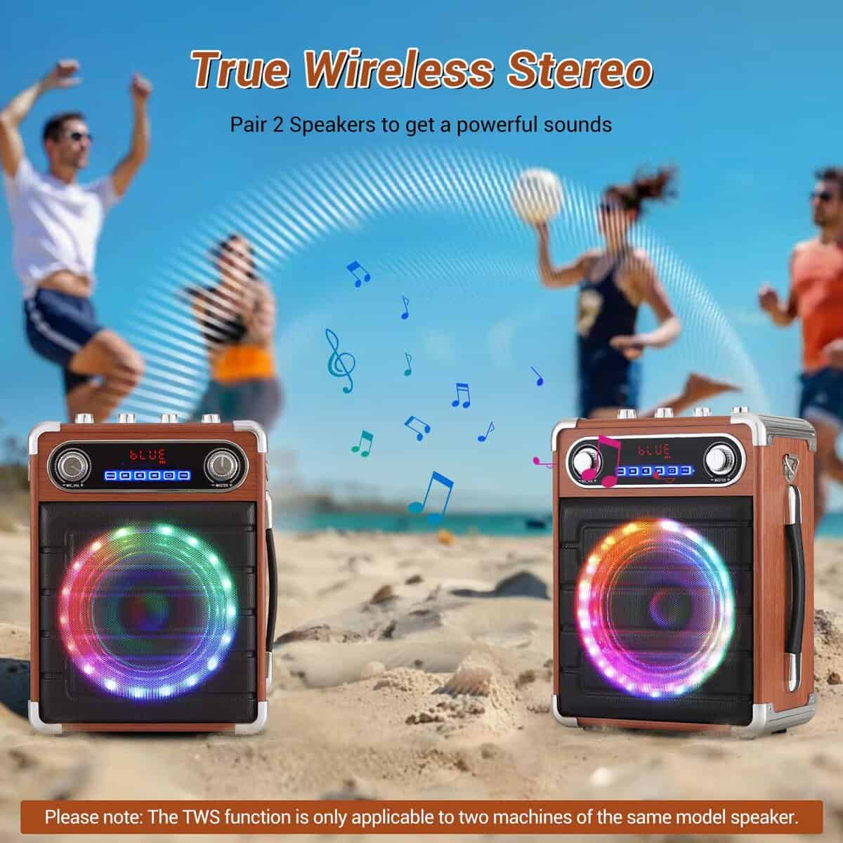Máquina de Karaoke ROXAAN con Dos Micrófonos Inalámbricos, - Imagen 5