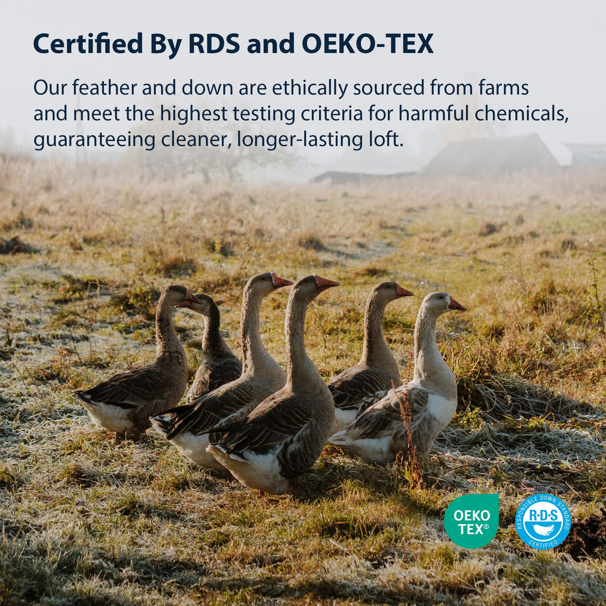 Almohada de Cama Pacific Coast, Almohada Firme de Plumón de - Imagen 7