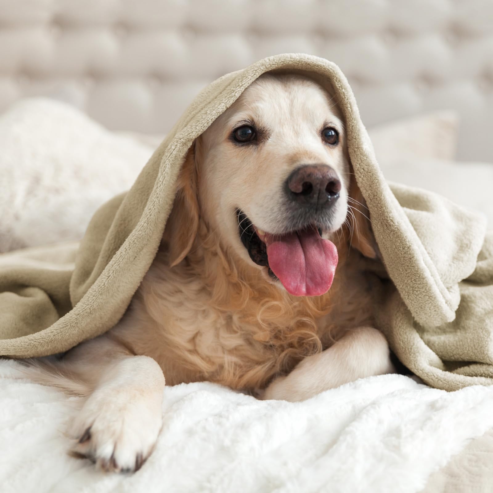 Manta de Franela BEDELITE Tamaño King, Mantas de Lujo - Imagen 9