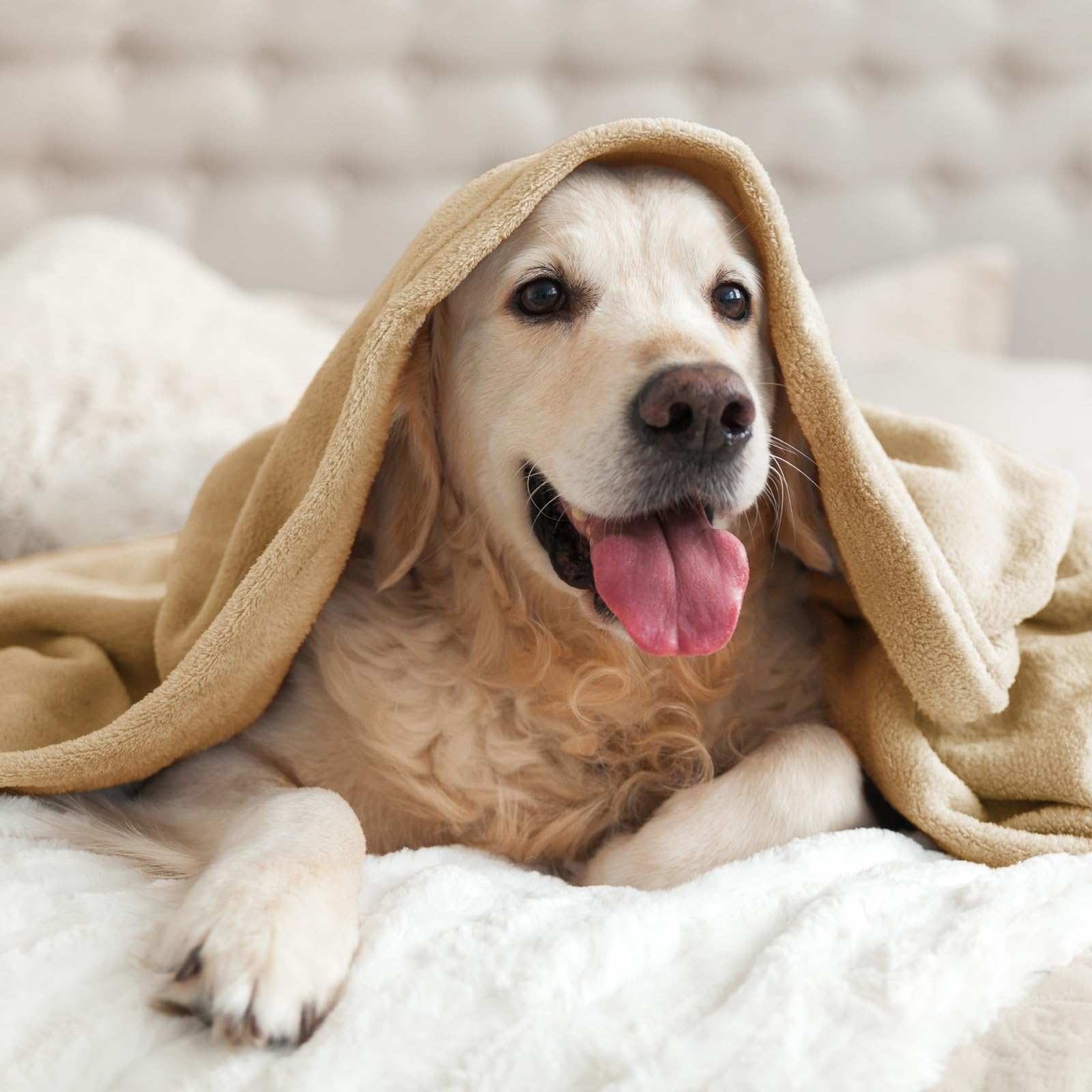 Manta de Lana BEDELITE Tamaño King para Cama, Manta de Lujo - Imagen 8