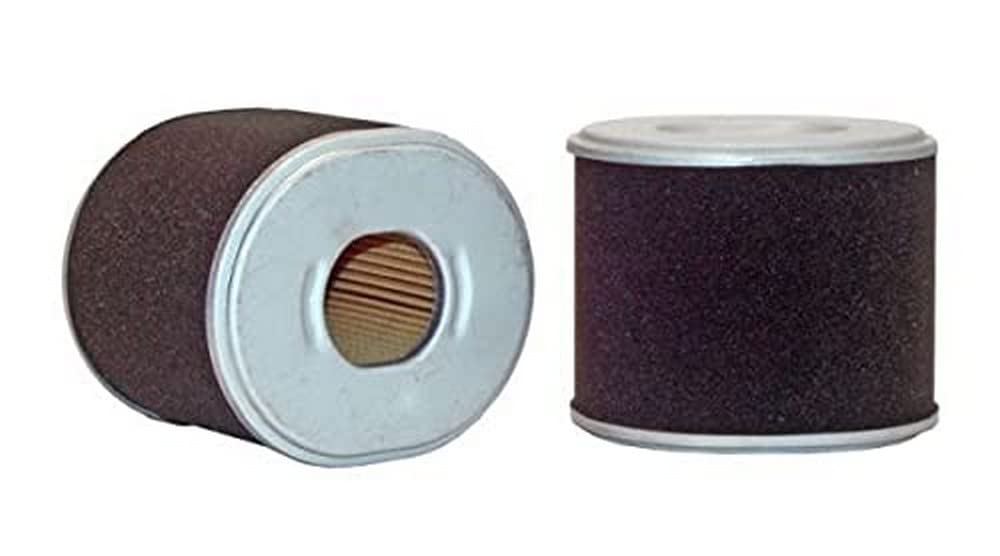 Filtro de aire Wix genuino - 42443