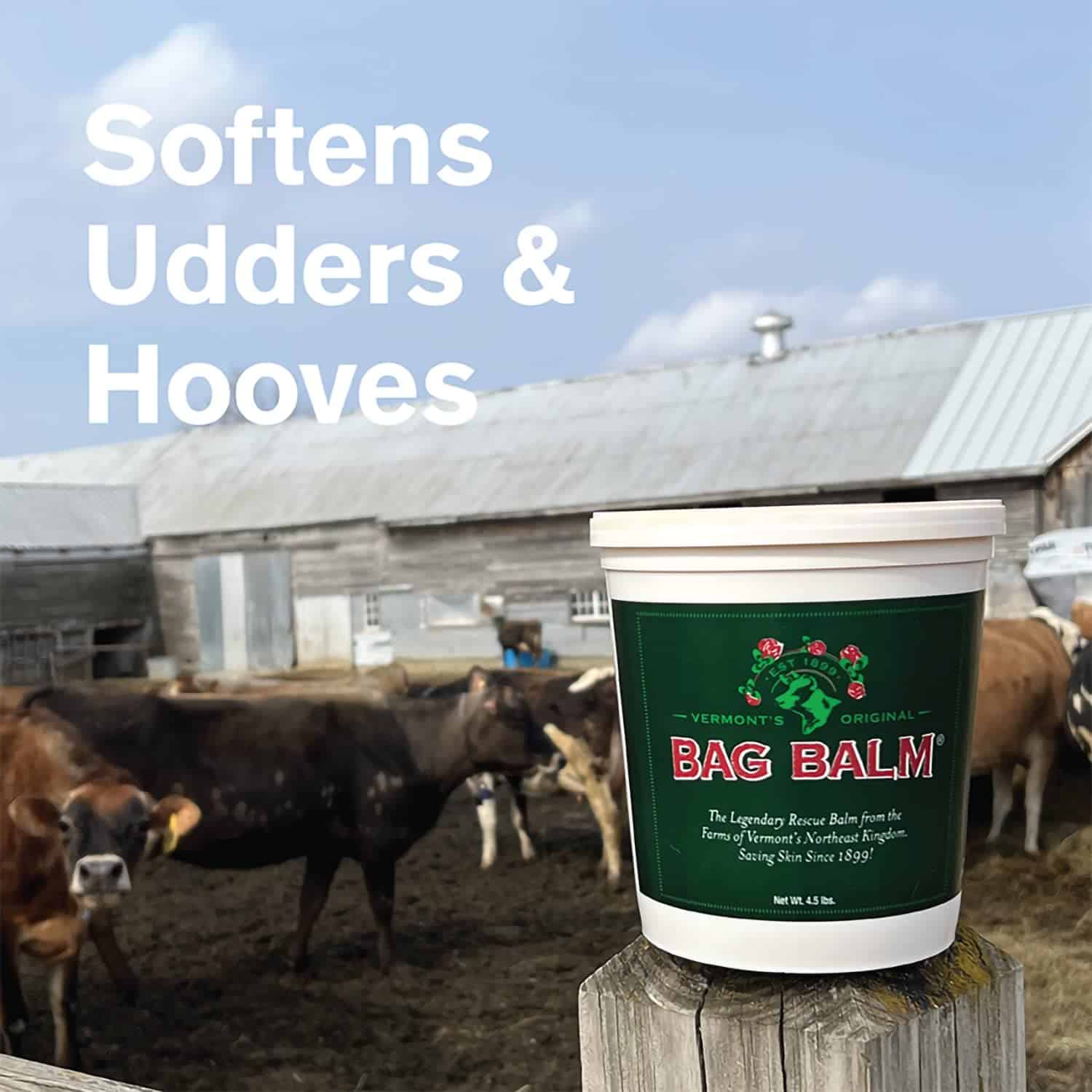 Crema para manos y piel seca Bag Balm Original de Vermont, - Imagen 5