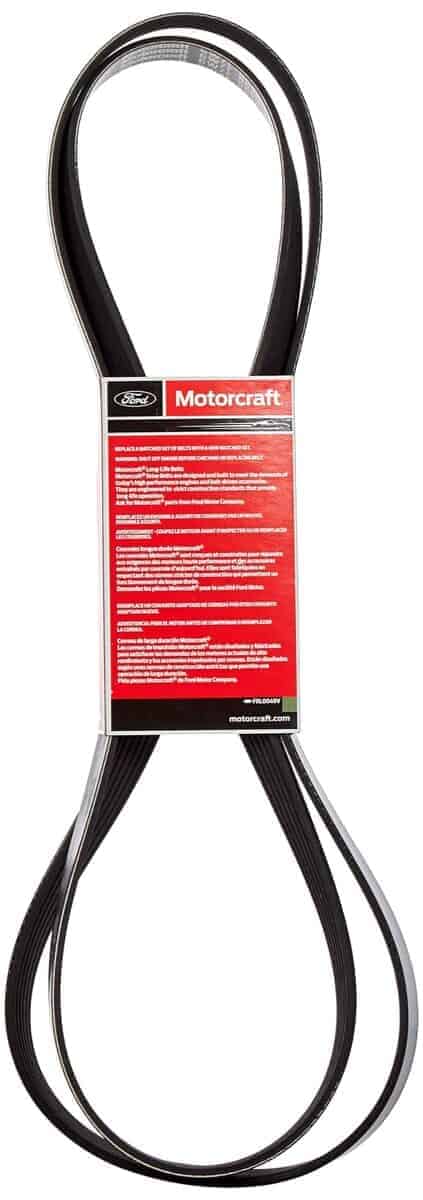 Correa de transmisión Motorcraft-JK6926 - Imagen 3