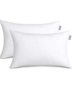 Insertos de Almohadas Decorativas Bare Home - 16 x 24