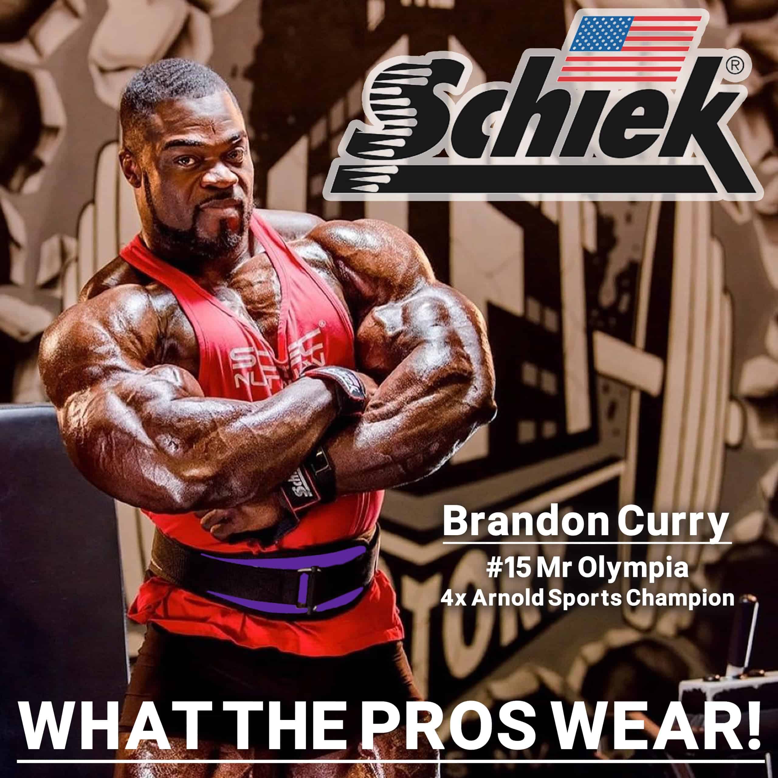 Cinturón de Levantamiento de Pesas Schiek -Morado - Imagen 7