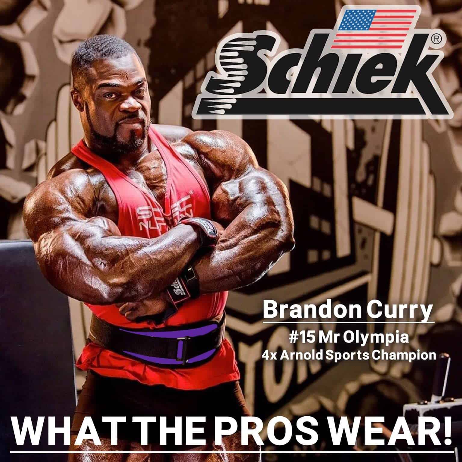 Cinturón de levantamiento de pesas Schiek -Morado - Imagen 7