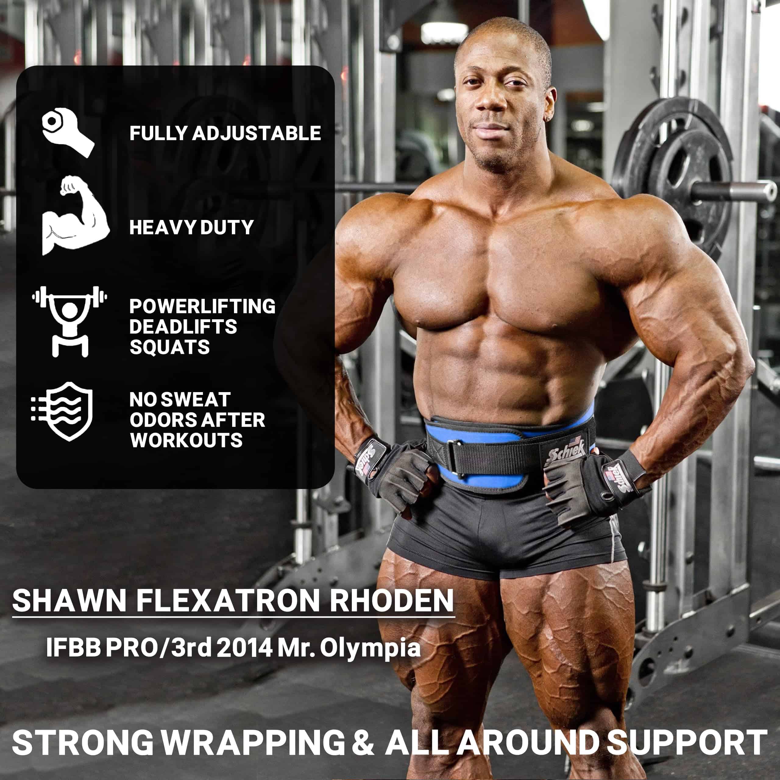 Schiek Sports 2006 Cinturón de Levantamiento de Pesas de - Imagen 3