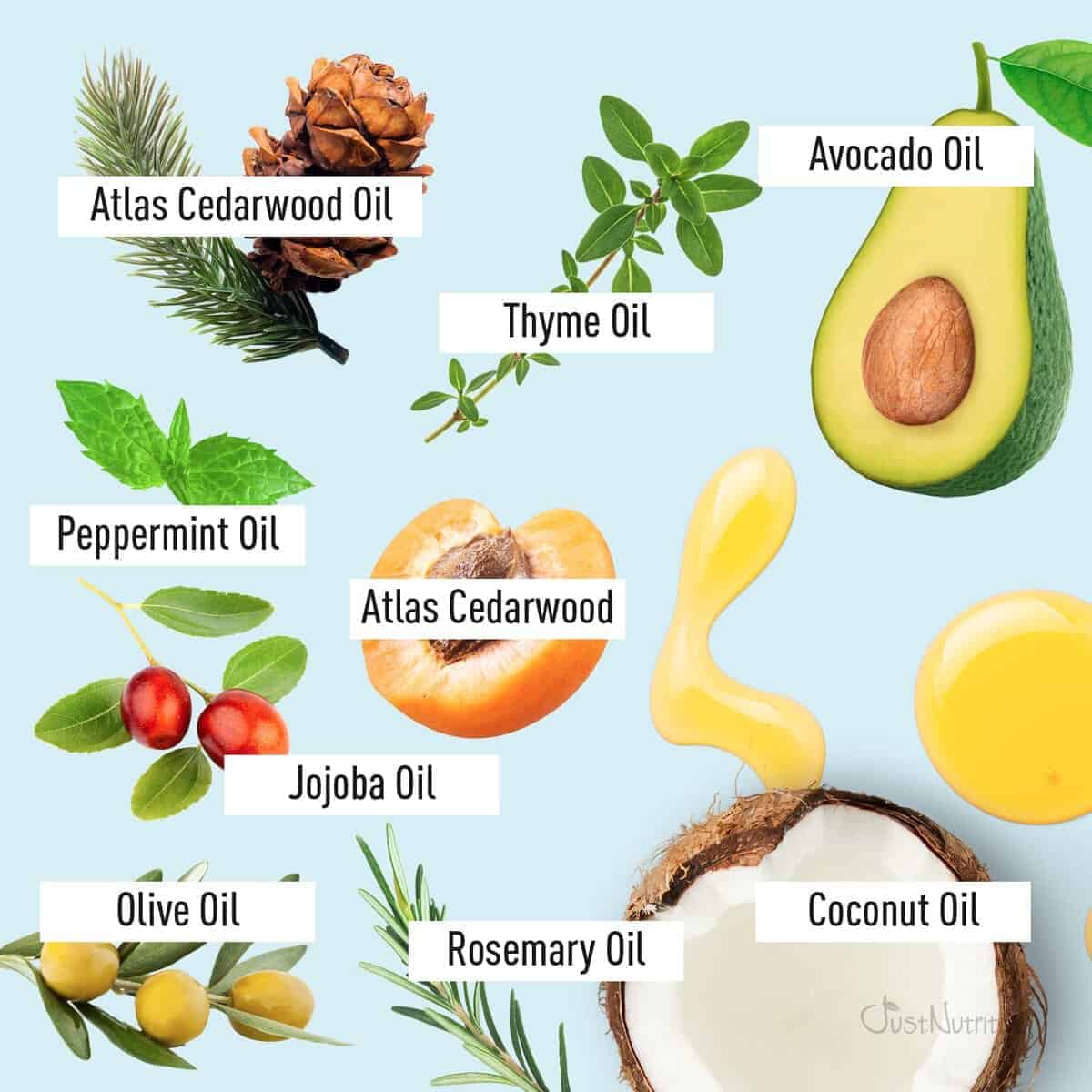 Tratamiento para la pérdida del cabello Alopecia Renewal | - Imagen 5