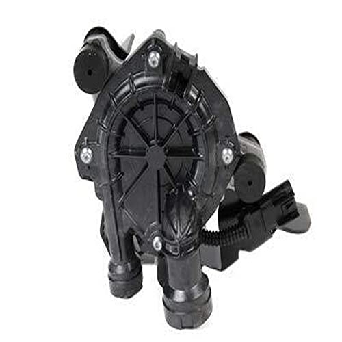 Bomba de inyección de aire secundario ACDelco GM Genuine