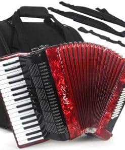 Acordeón para Caballo, 34 Teclas 60 Bajos Acordeones de