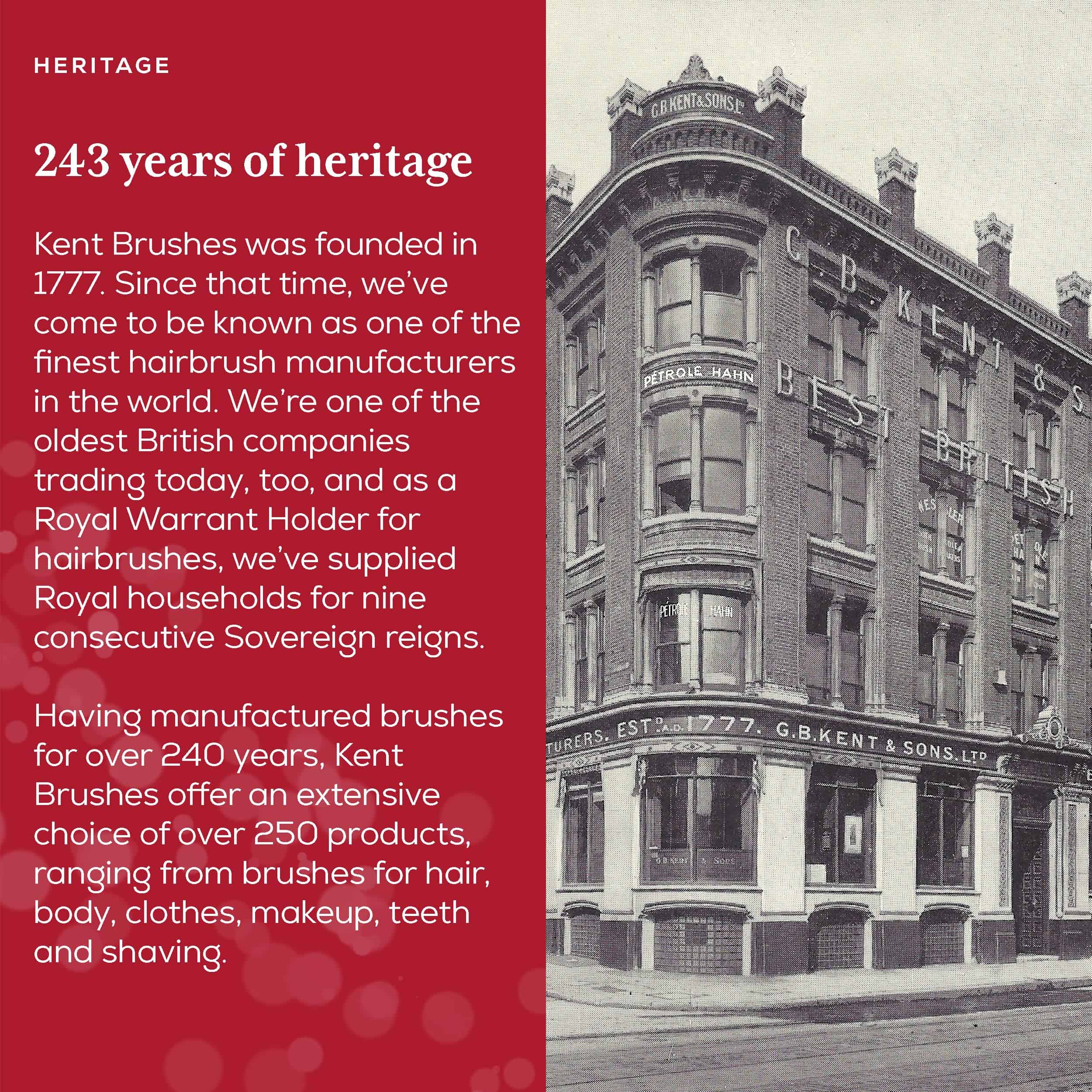 Cepillo Alisador Oval Grande Shine Classic de Kent CSFS y - Imagen 8