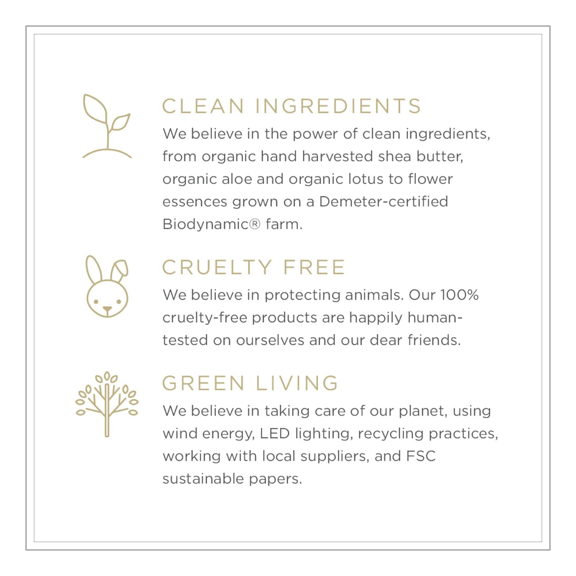 Jabón y Loción Corporal Zents (Fragancia Tierra) | - Imagen 9