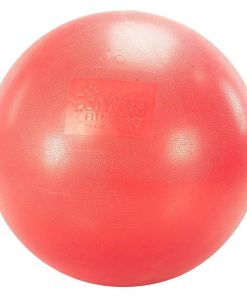 AGM Group EcoWise Premium Fitness Ball Cherry, 65-cm