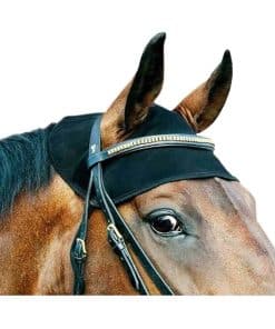 Protector de Cuello Back on Track Negro -Negro