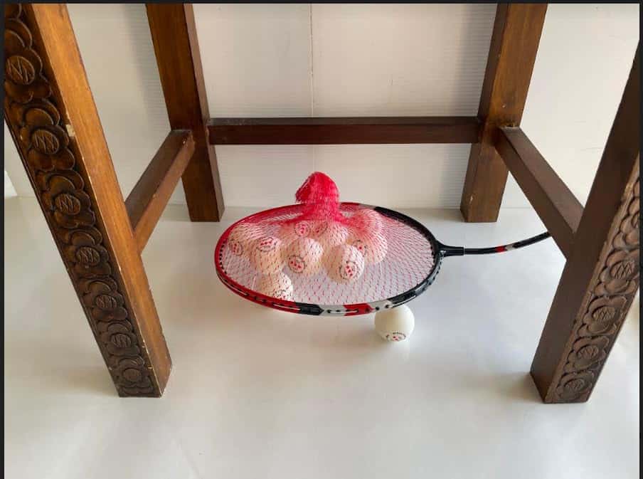 Recolector de pelotas de ping pong MyPingPongBuddy Ping - Imagen 4