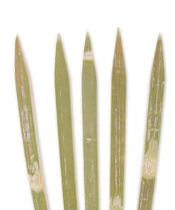 BambooMN 8.3" x 0.2" Brochetas de Bambú Cuadradas