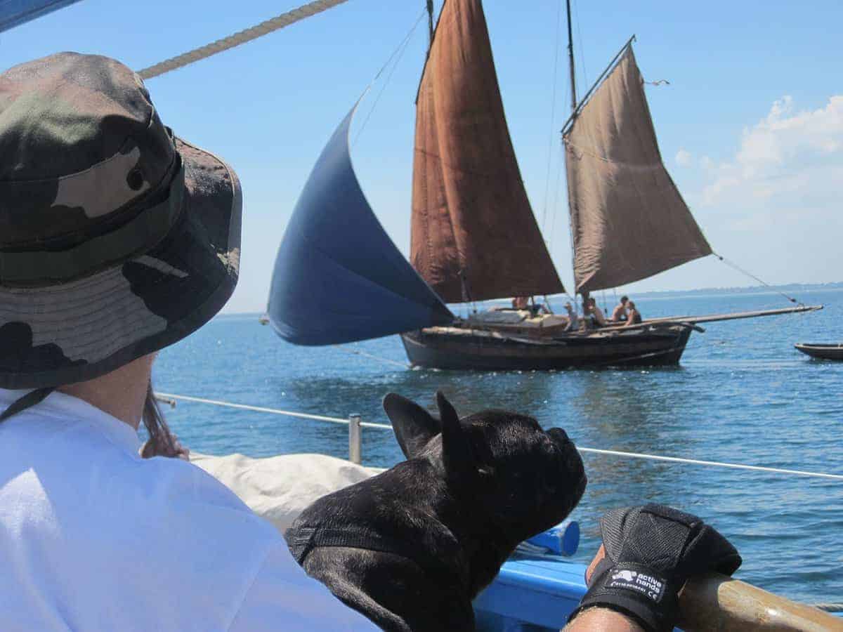 Aid de uso general Active Hands (Pequeño, Derecho) - Imagen 9