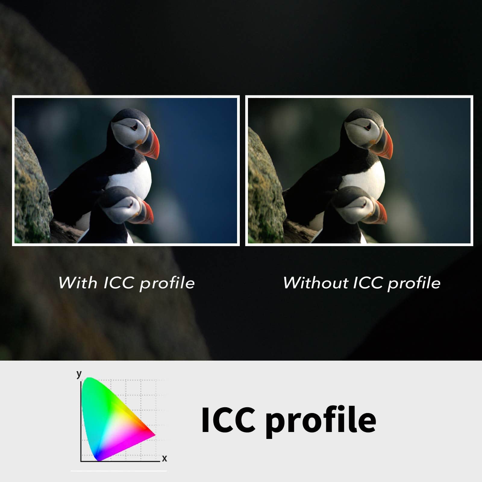 Plustek OpticFilm 8200i AI - Escáner de películas y - Imagen 10