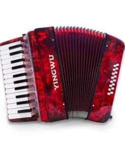 Acordeón de 25 Teclas 16 Bajos para Principiantes y Adultos