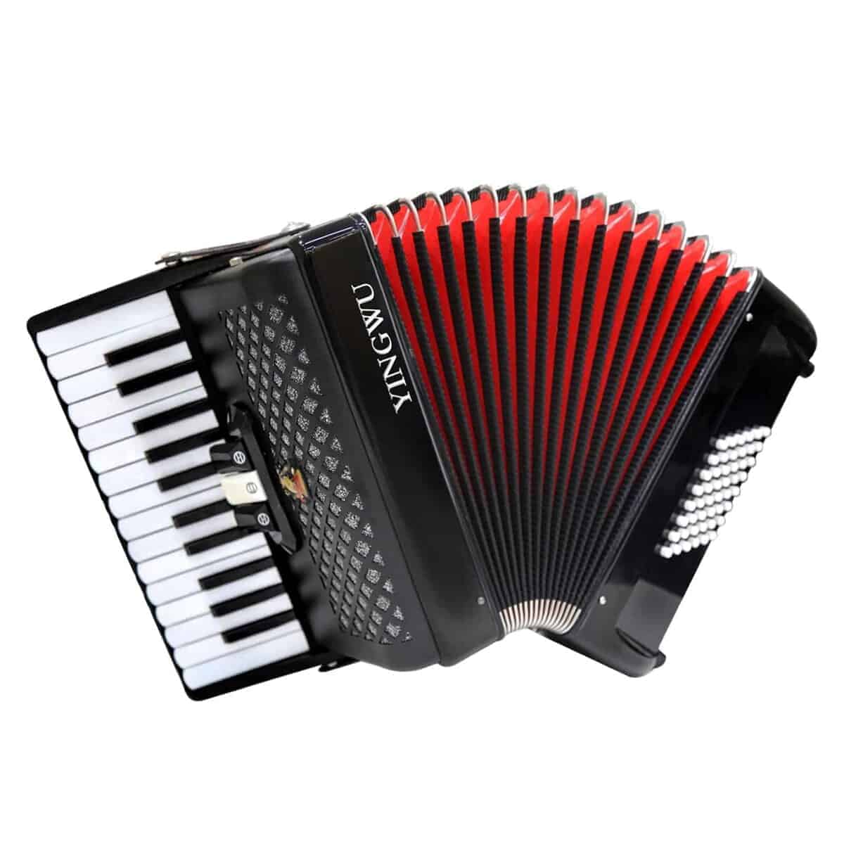 Acordeón de 26 Teclas y 48 Bajos para Principiantes y