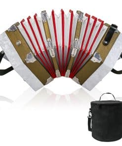 Concertina de 20 teclas para adultos, acordeón profesional