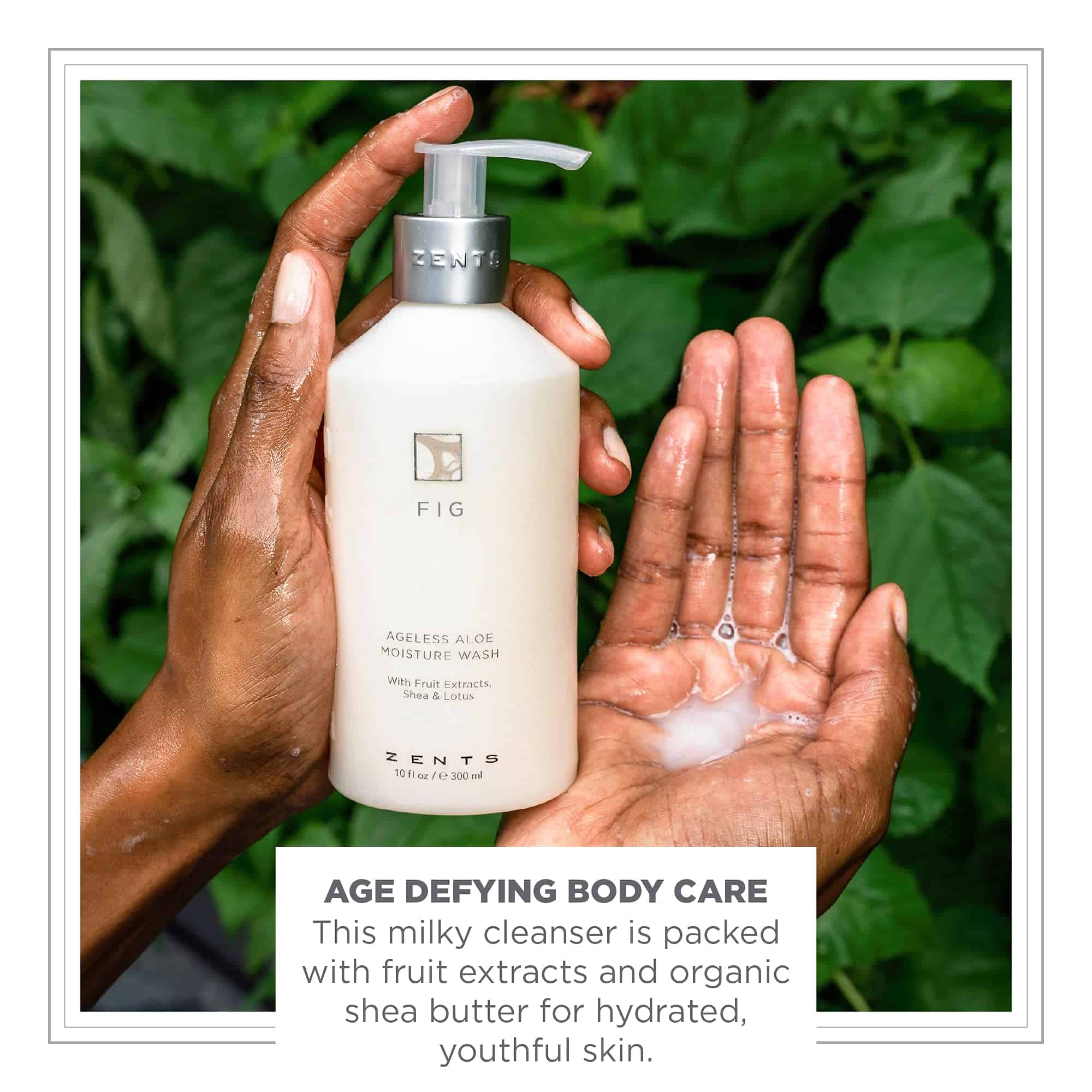Zents Hand & Body Wash (Fragancia de Higo) | Limpiador - Imagen 3