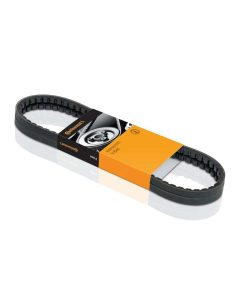 Correa Multi V Dual-Sided Continental 6DPK1825