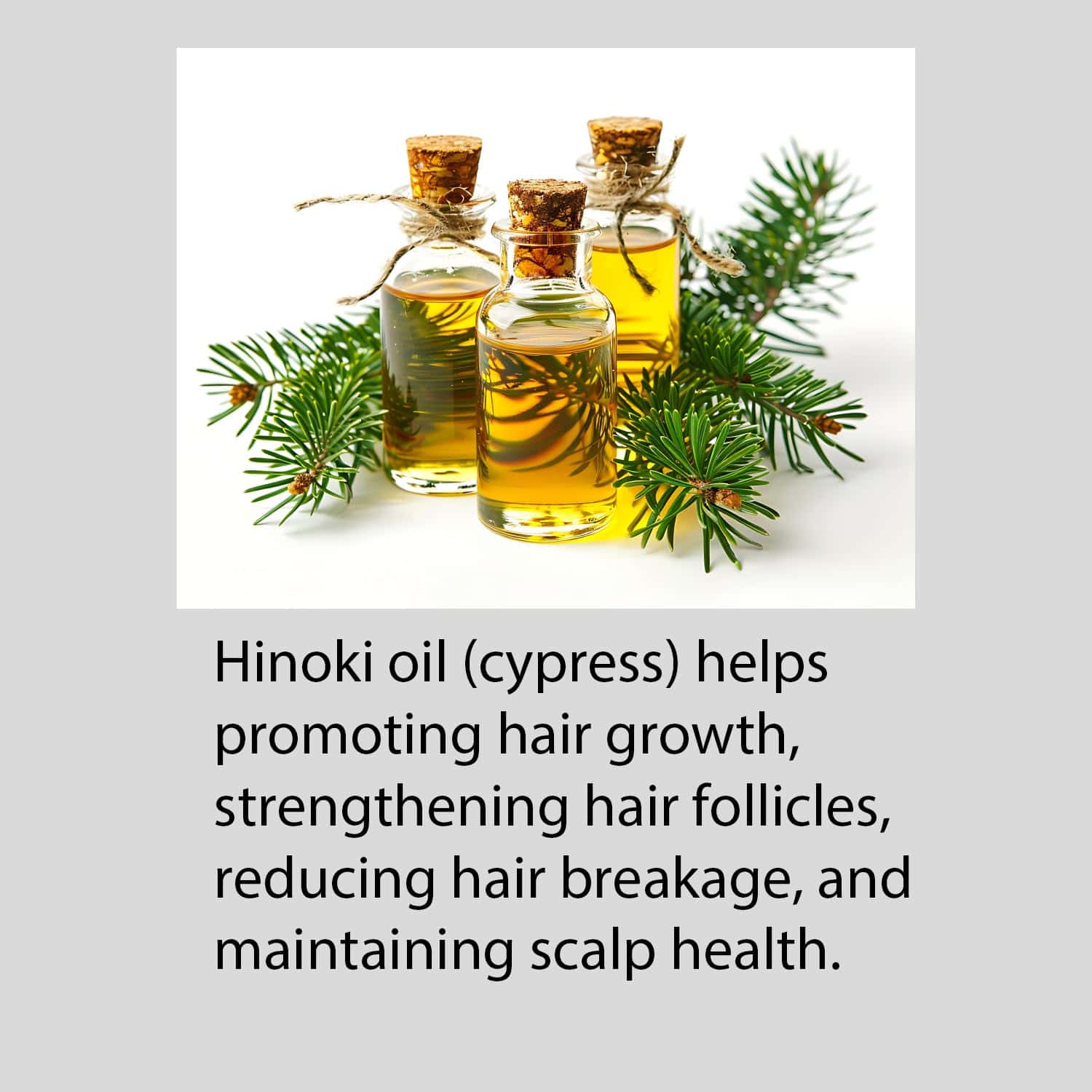 Acondicionador Hayashi Hinoki, 33.8 Onzas Líquidas - Imagen 5