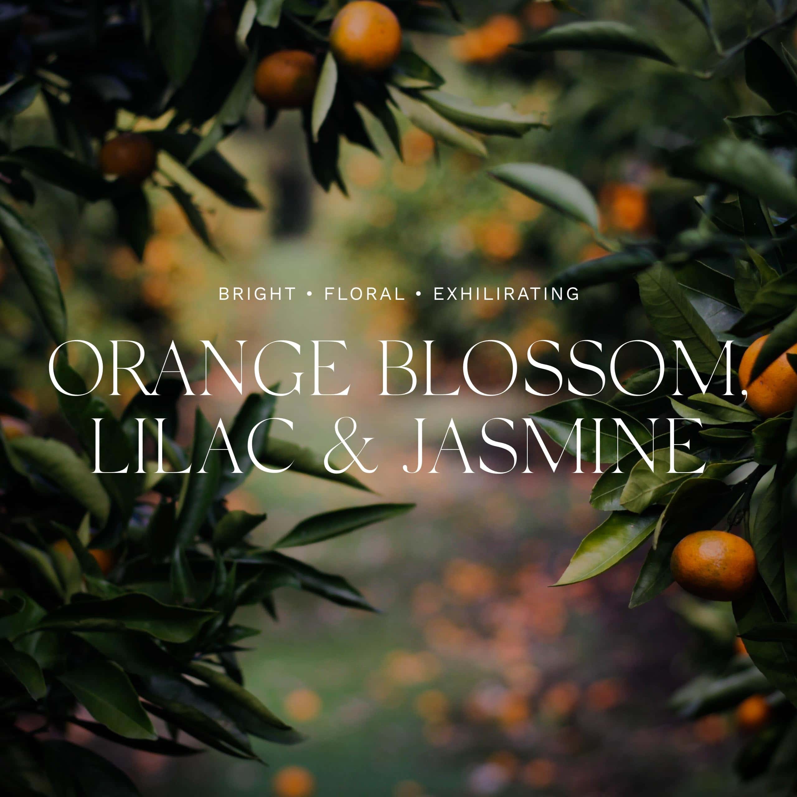 Antica Farmacista Orange Blossom Lilac & Jasmine Bubble - Imagen 4