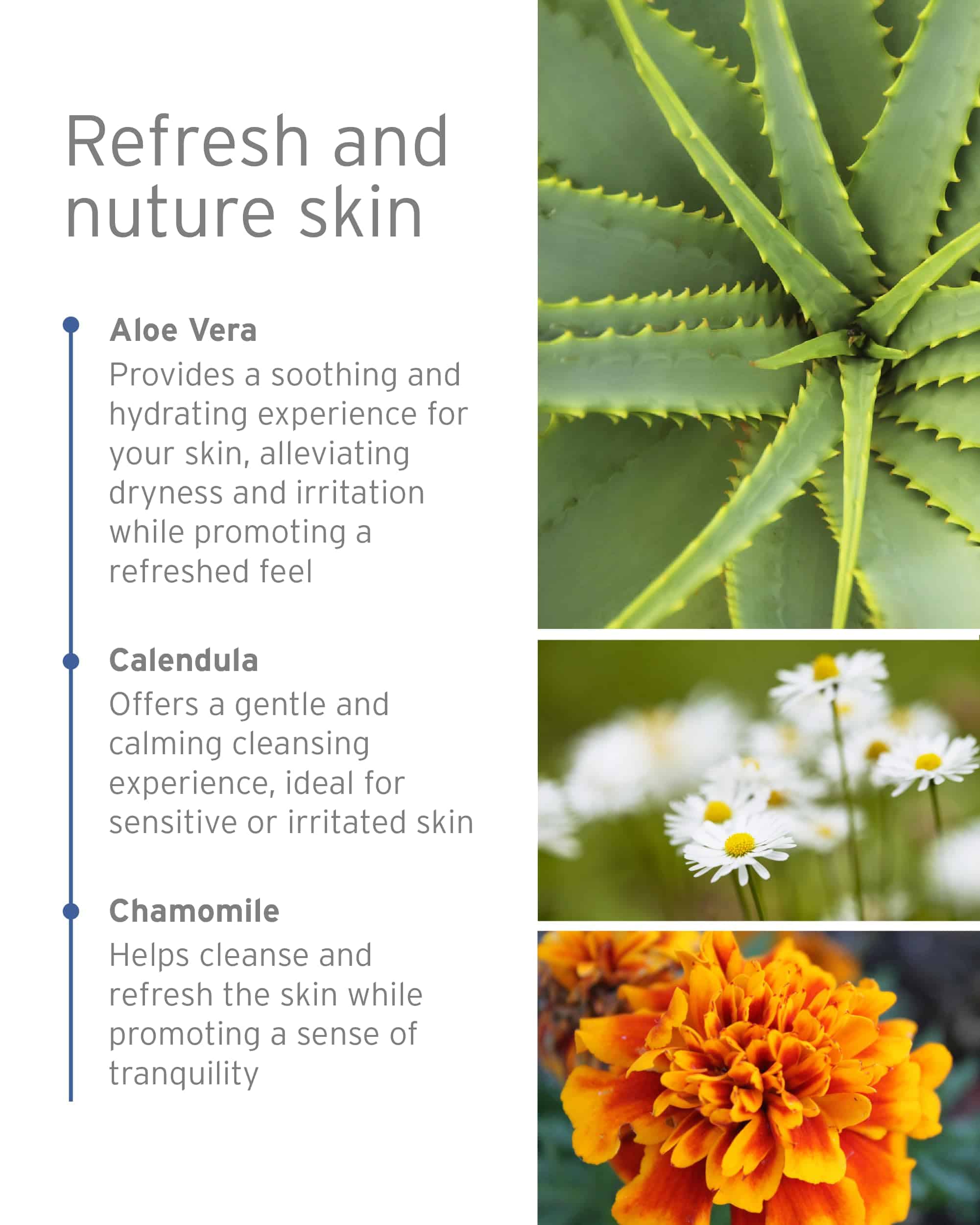 Gel de Ducha y Baño de Manzanilla Kerstin Florian | Gel - Imagen 4