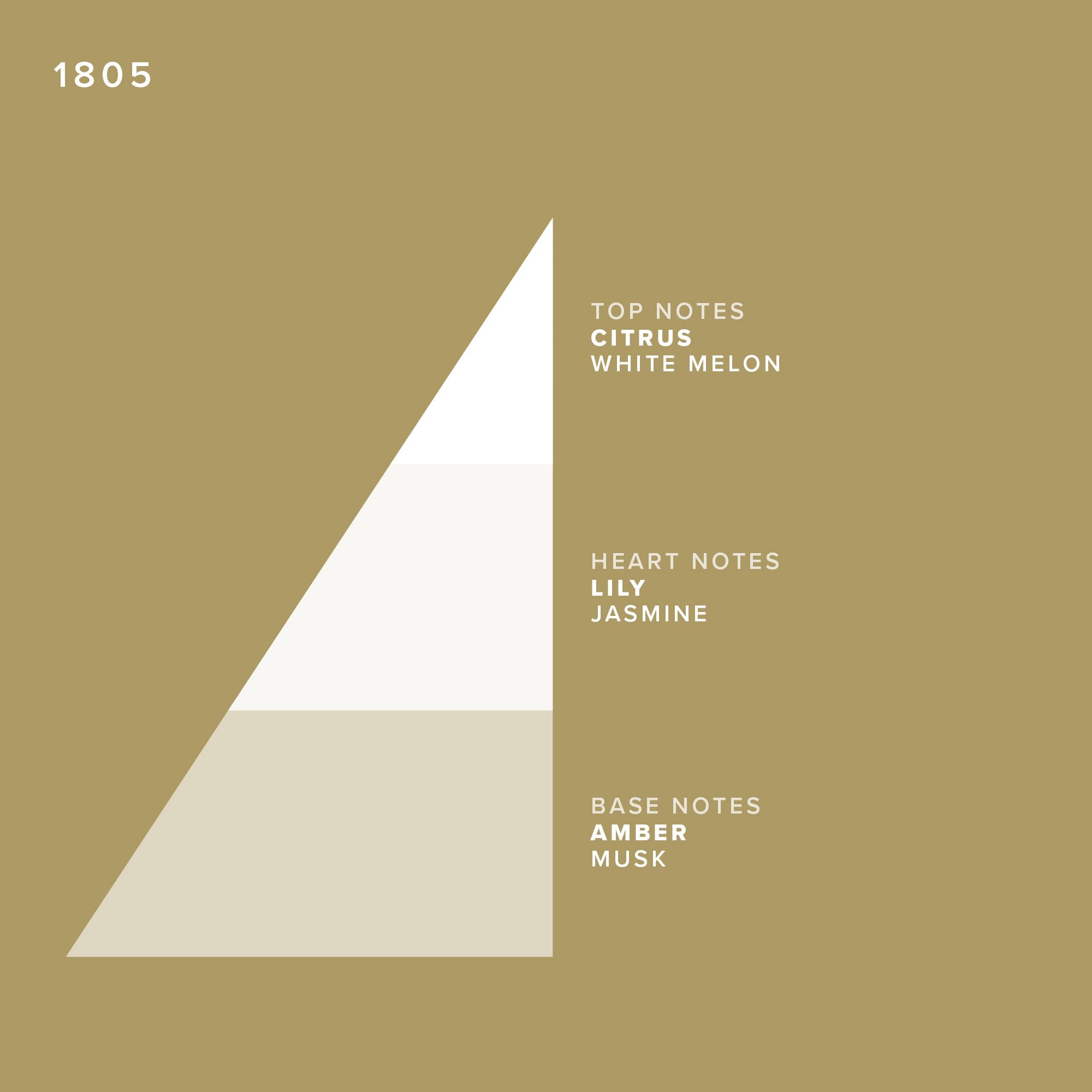 Bol de crema de afeitar Truefitt & Hill - 1805 - Espuma - Imagen 8