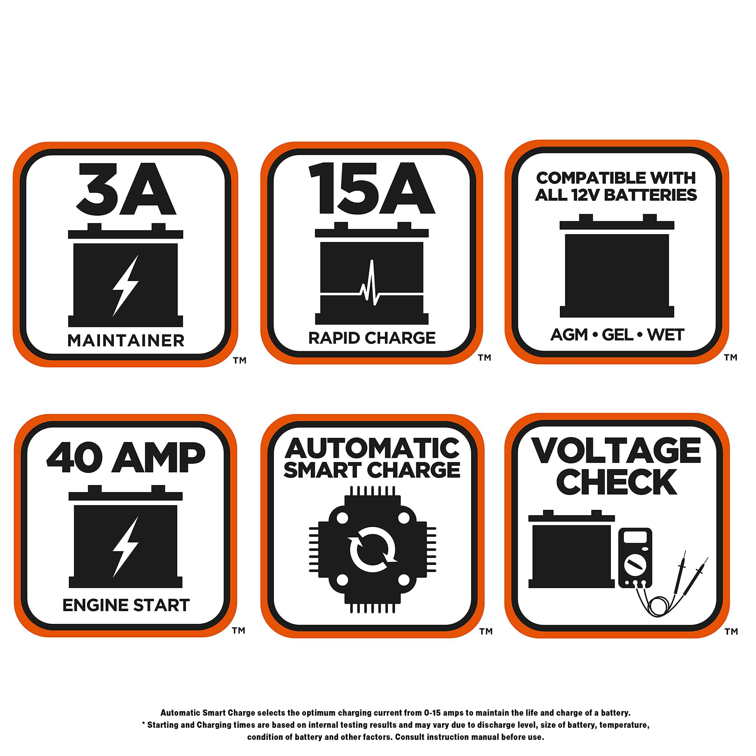 Cargador y Mantenedor automático de batería de banco - Imagen 8