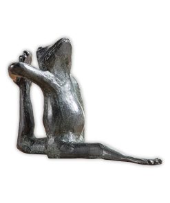 Estantería de Rana Yoga Estirada Aardvark Anecdótica