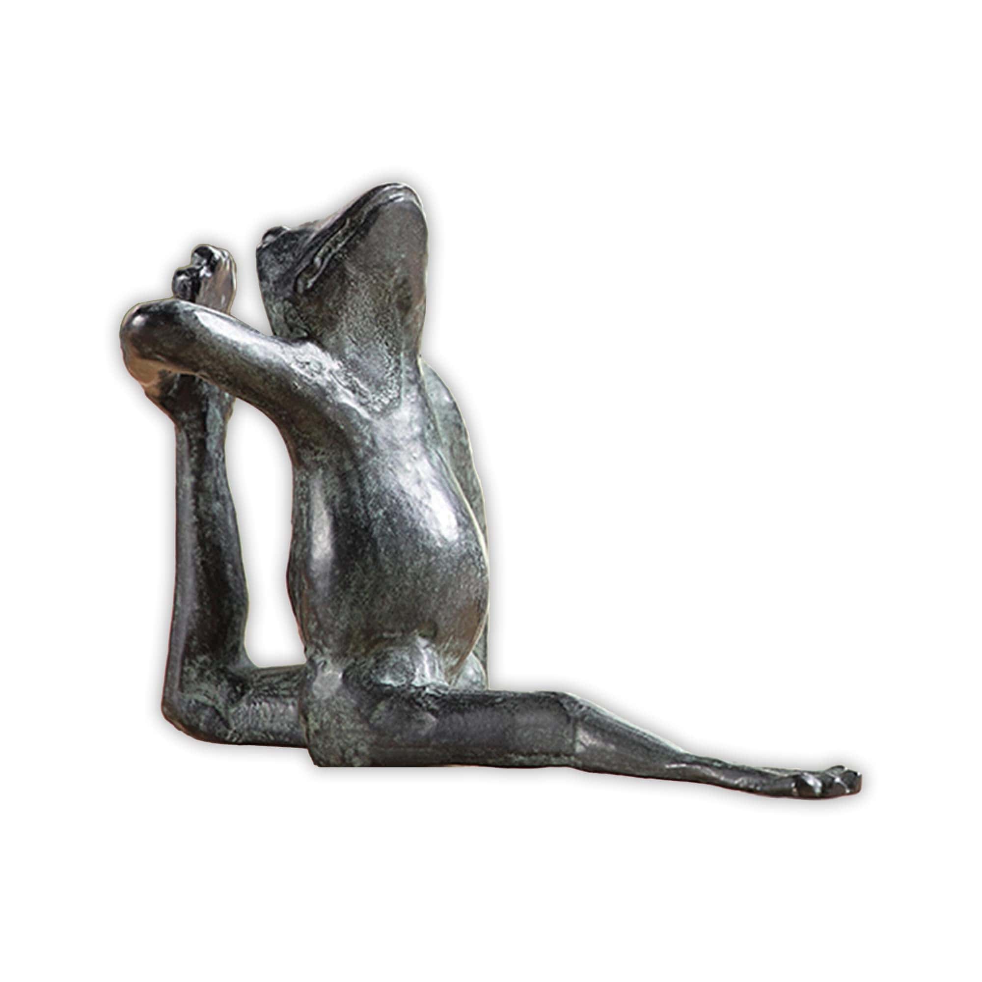 Estantería de Rana Yoga Estirada Aardvark Anecdótica