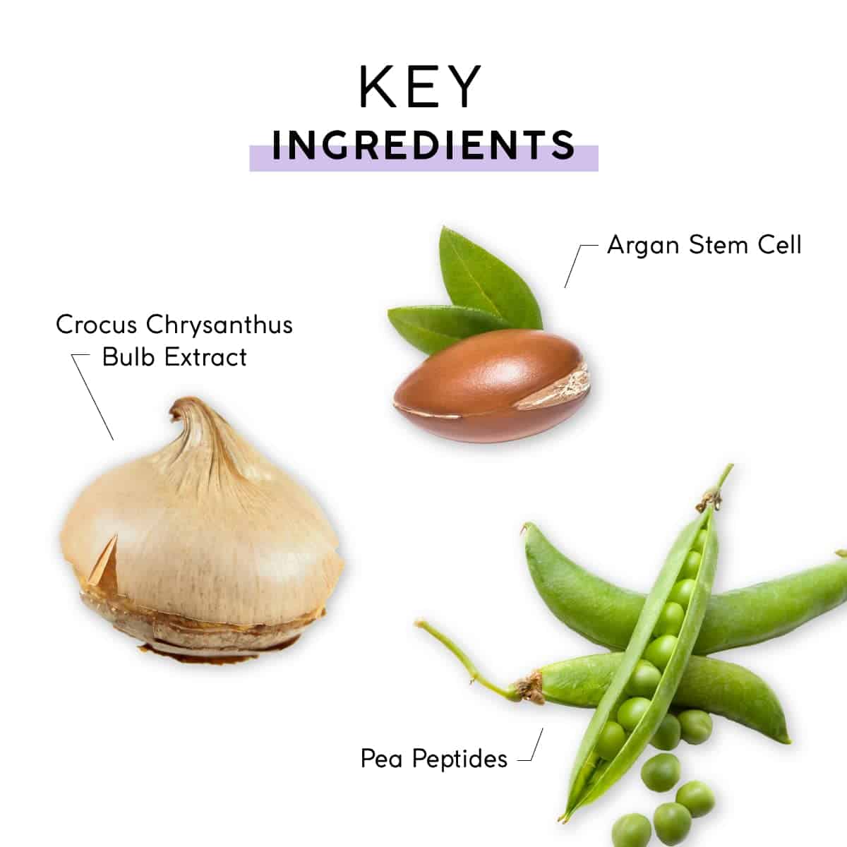 Suero antiarrugas con péptidos y células madre de argán de - Imagen 7