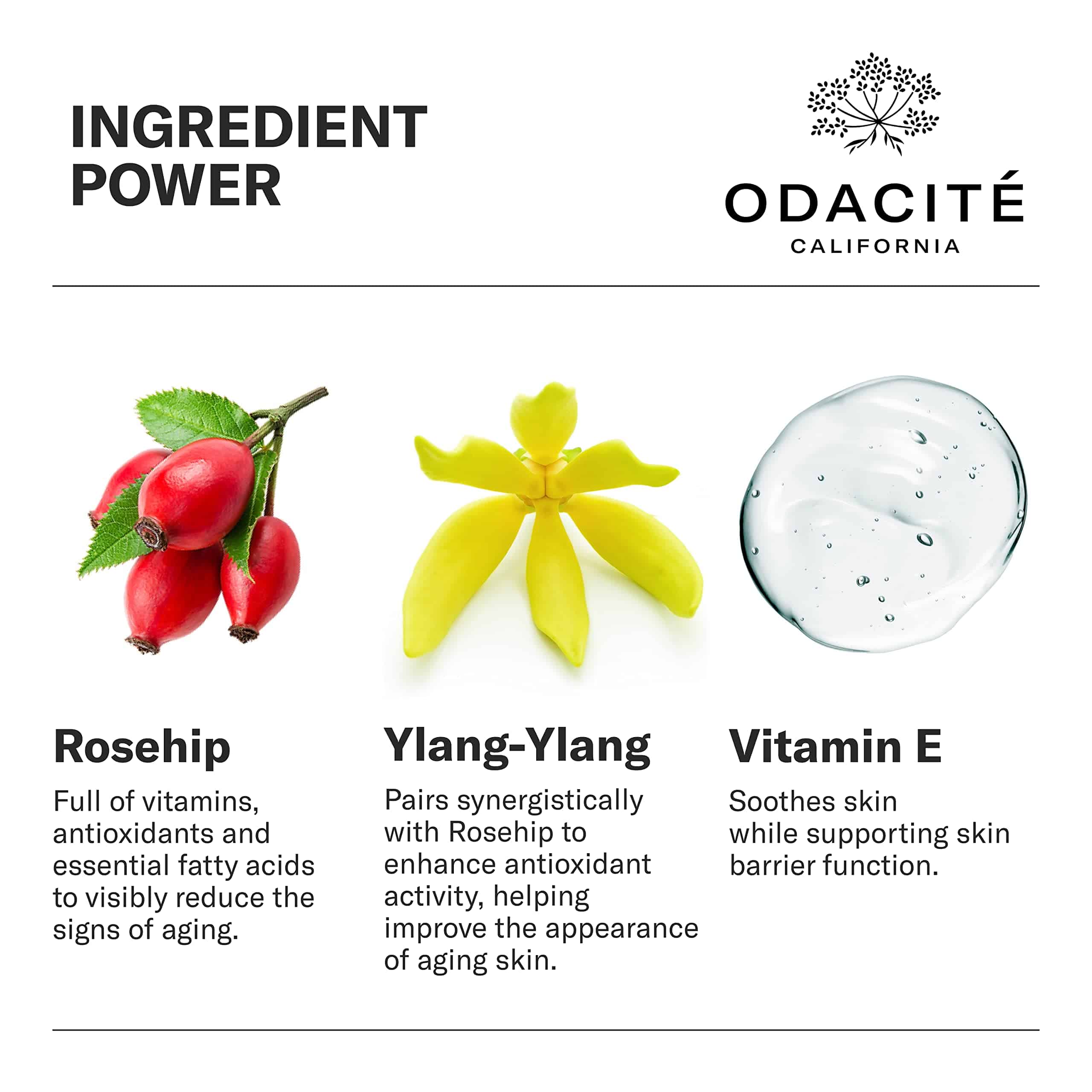 Suero Concentrado Antienvejecimiento de Odacité con Rosa - Imagen 4