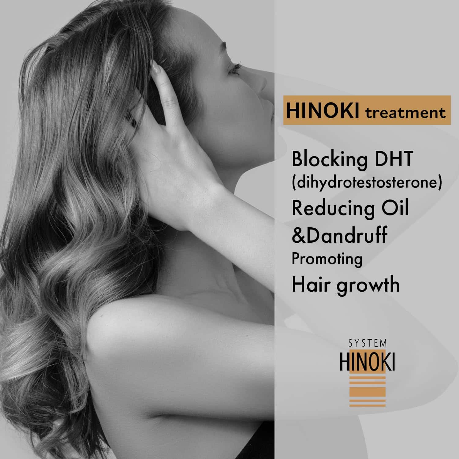 Hayashi System Hinoki Plus para Cabello Debilitado 10.1oz - Imagen 6