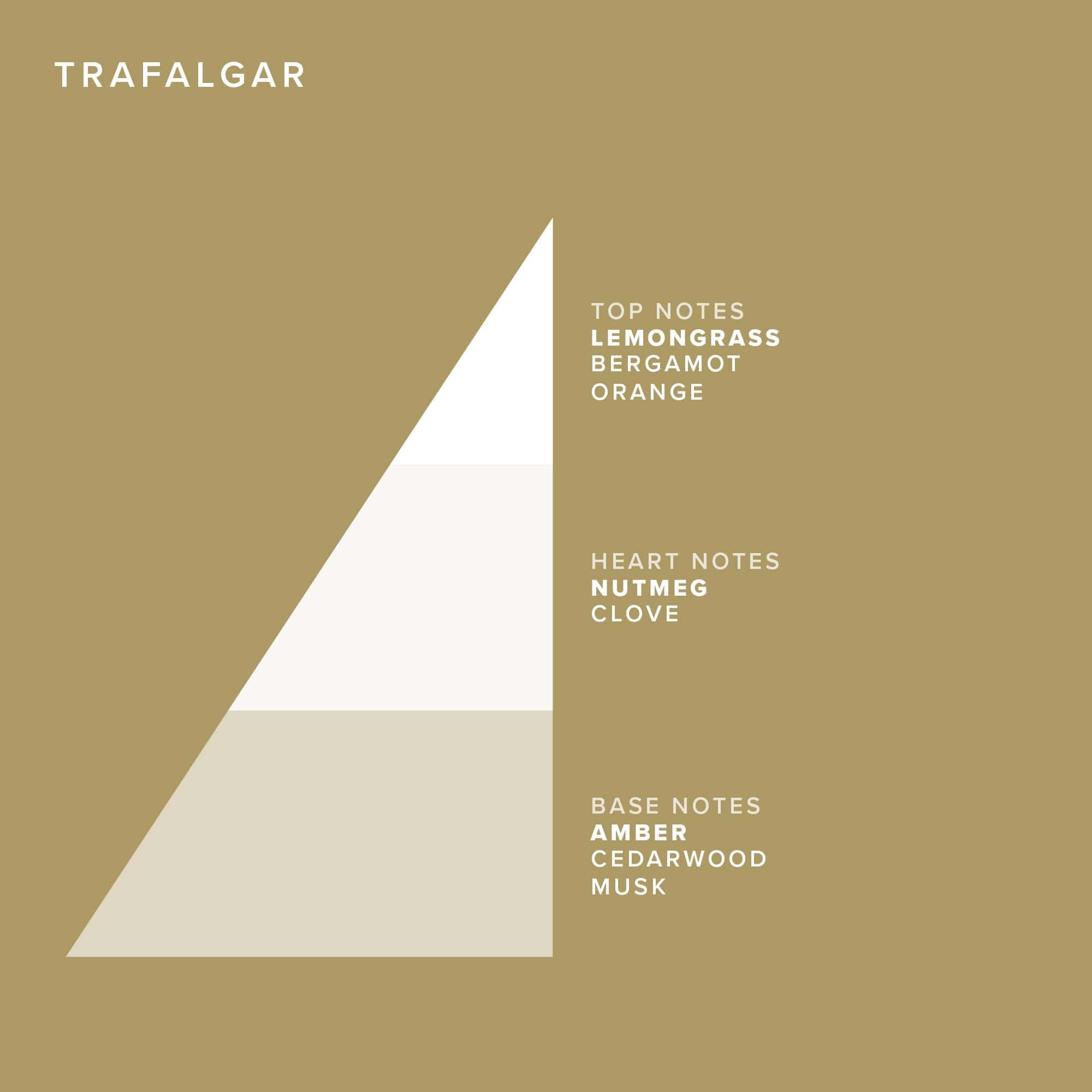 Crema de Afeitar Truefitt & Hill - Trafalgar - Líquido - Imagen 9